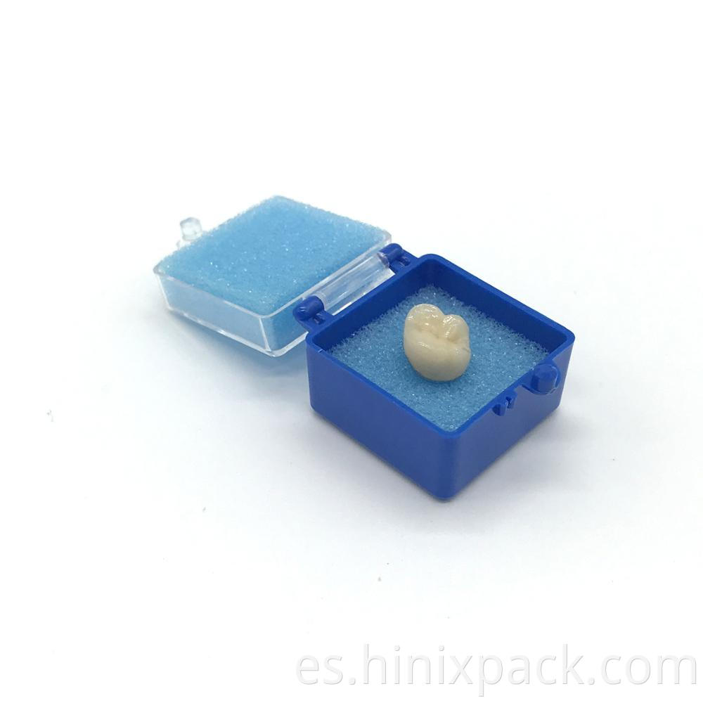 Plastic dental crown container